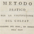 Metodo pratico per la coltivazione del colzat